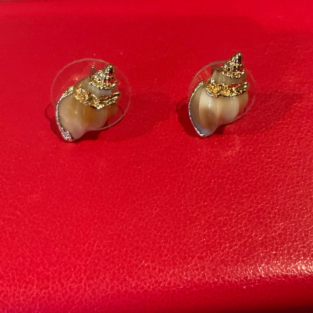 Spiral Shell Stud Earrings